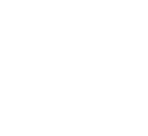 NVBDC